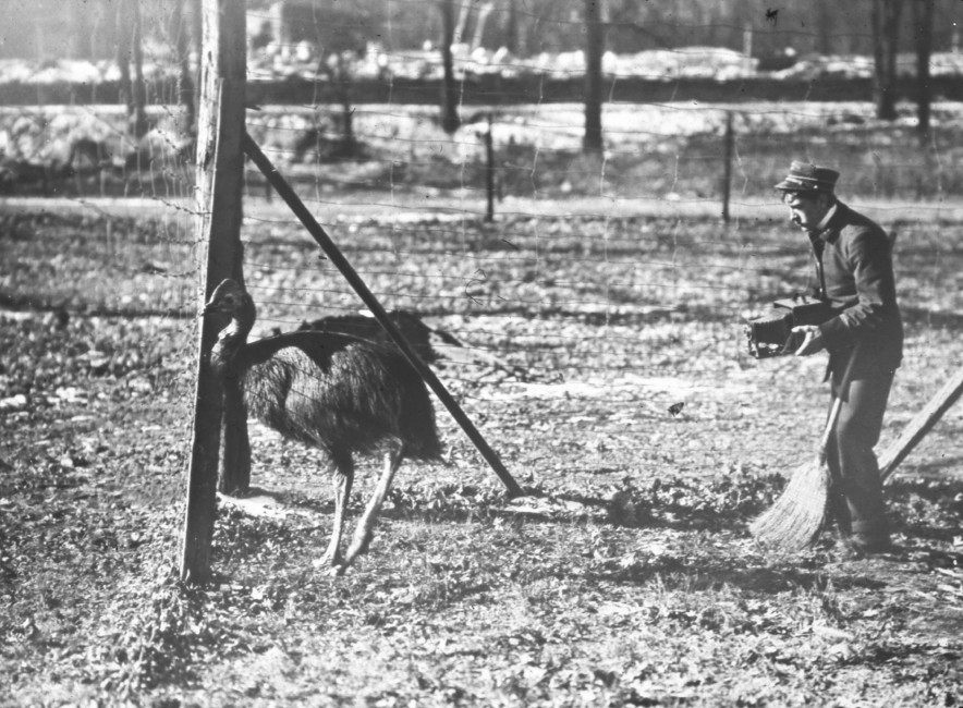 The First Photographer for the Bronx Zoo