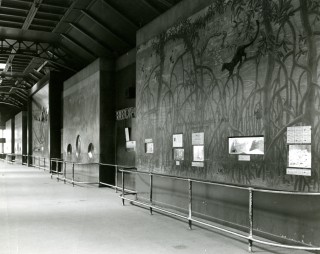 That Time the New York Aquarium was in the Bronx Zoo Lion House