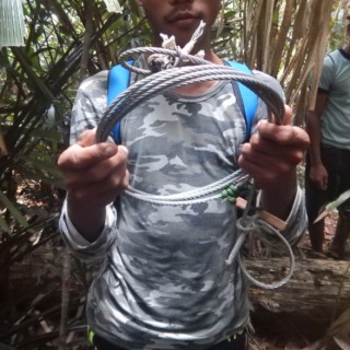 Wire Snares: The Bane in Malaysian Forests, Part 2