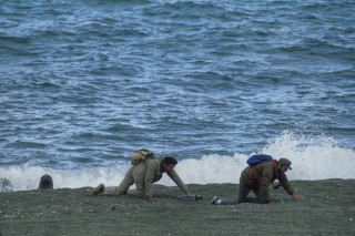 Seal Beach Crawl