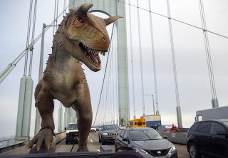 Delivering a Dinosaur in New York City
