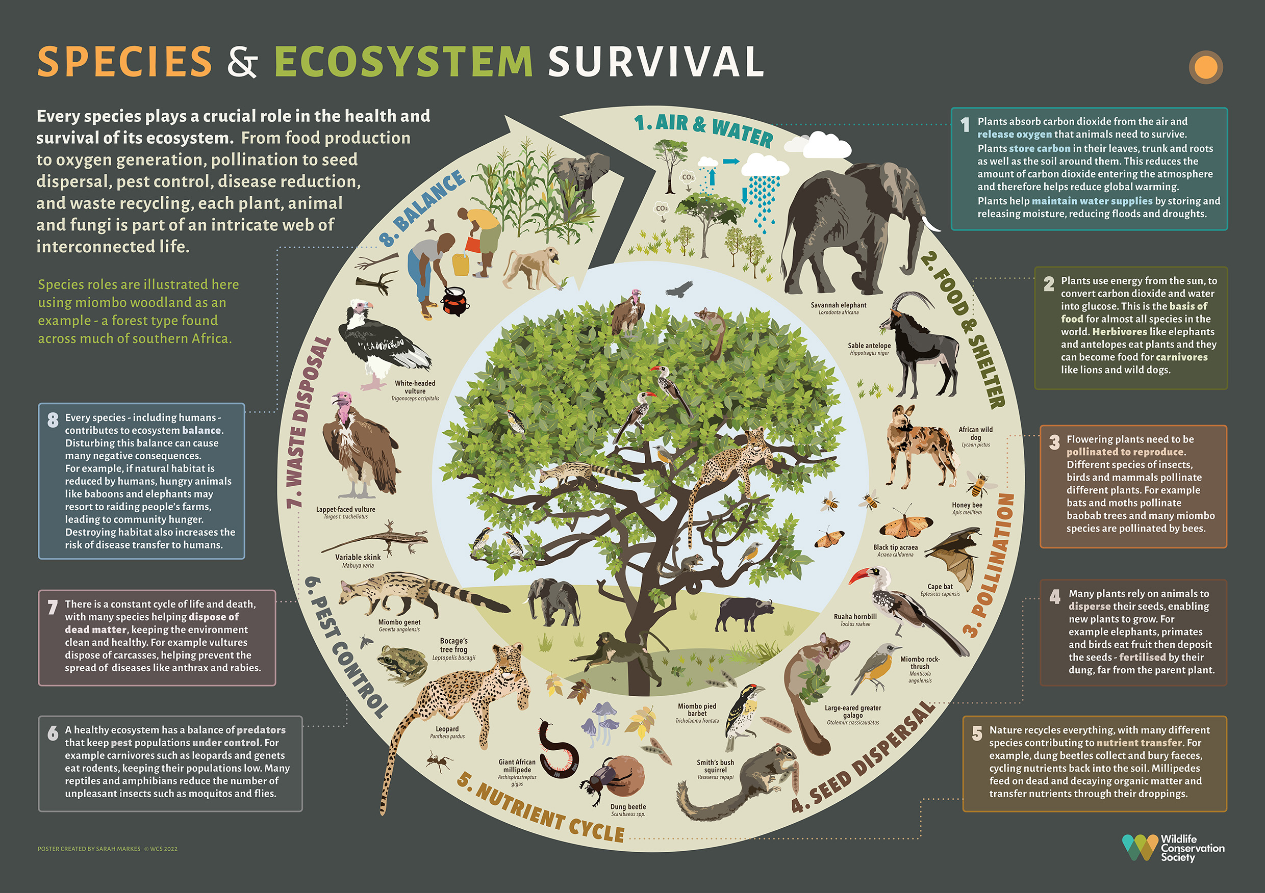 Understanding Species Roles in Ecosystem Survival