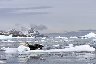 Women Explorers in Antarctica, Part 2